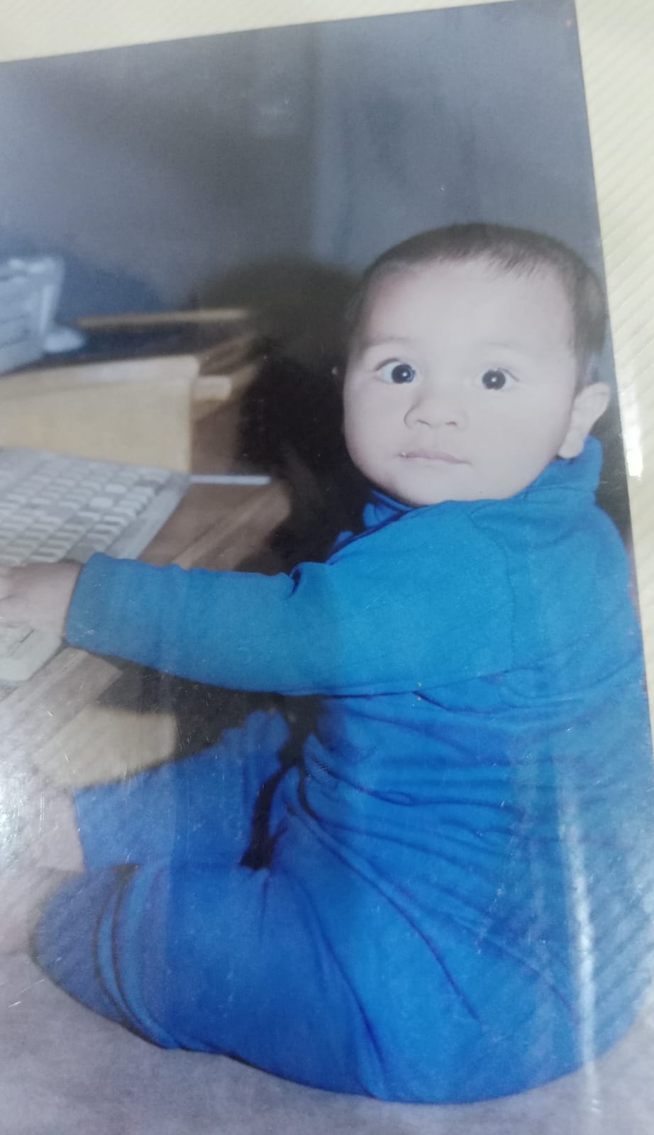 Talha Naveed